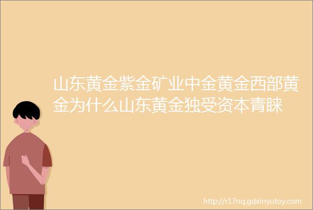 山东黄金紫金矿业中金黄金西部黄金为什么山东黄金独受资本青睐