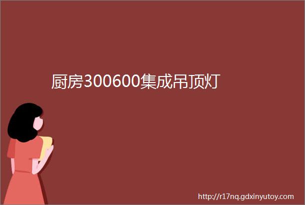 厨房300600集成吊顶灯