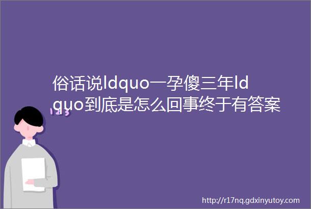 俗话说ldquo一孕傻三年ldquo到底是怎么回事终于有答案了